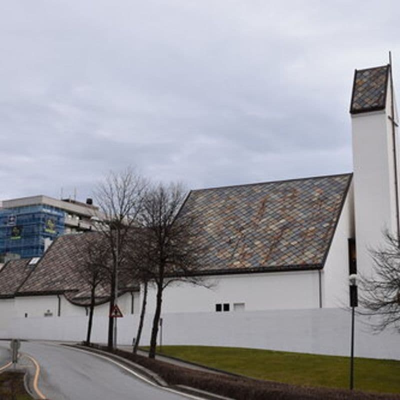 Den katolske kirke