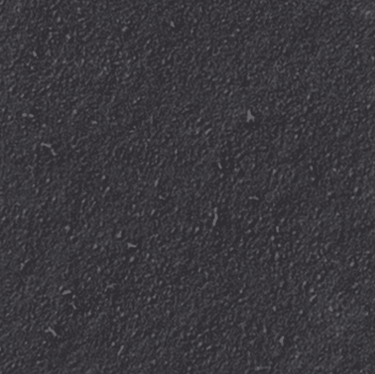 Sintered Black
